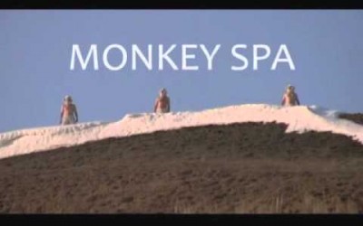 Multiflex / Monkey Spa – Teaser 2010